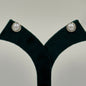 Fine Drops Earrings